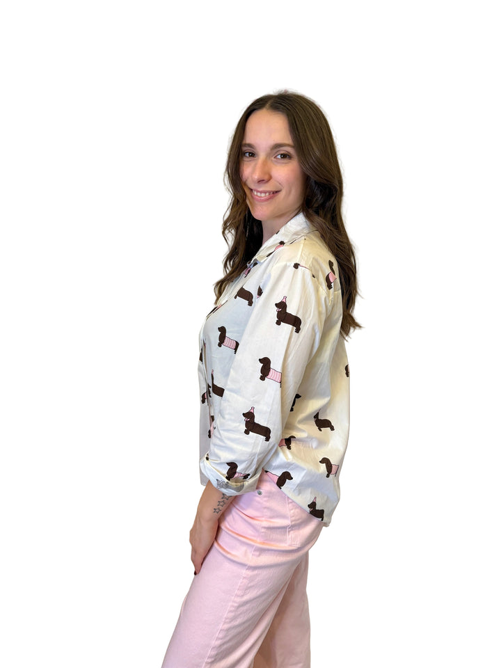 camicia bassotti cotone 2816