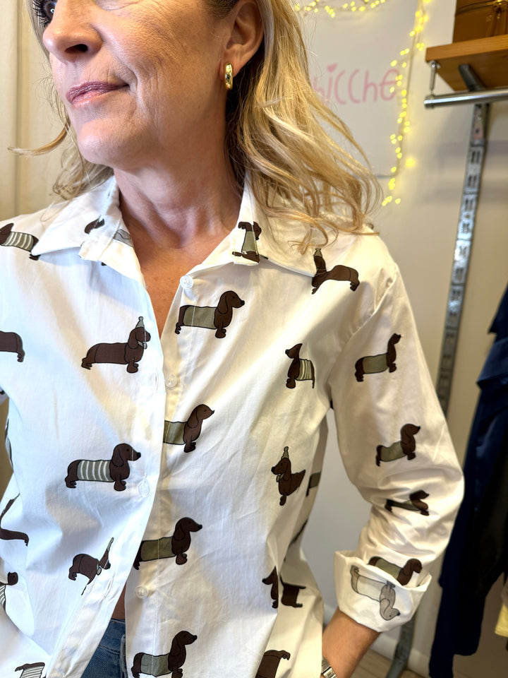 camicia bassotti cotone 2816