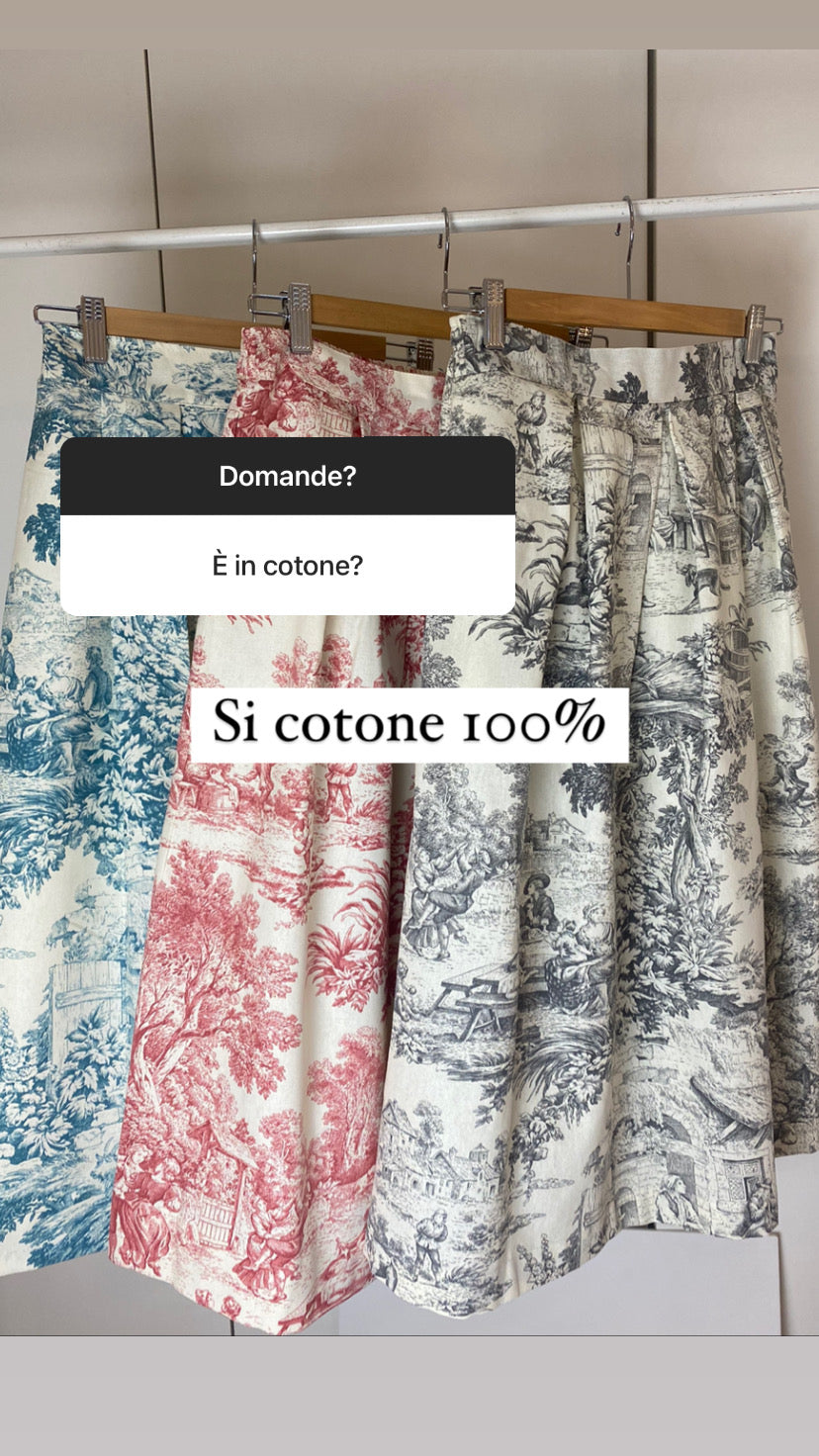 Gonna Toile de Jouy